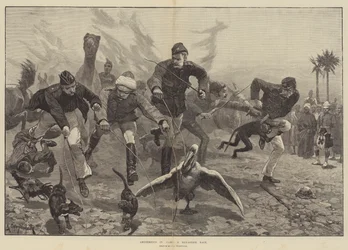 Diversiones en el campamento, una carrera de menagerie